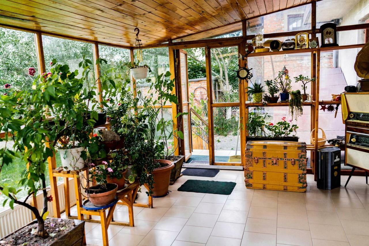 Hostel Villa Roma Lviv Bagian luar foto
